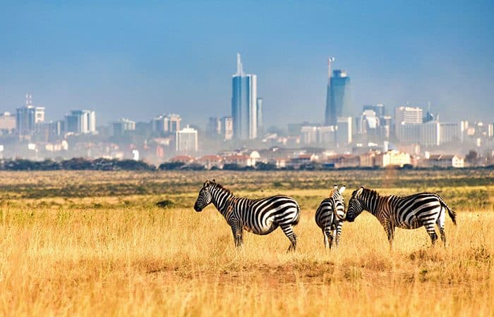 Nairobi, Kenya Bootcamp